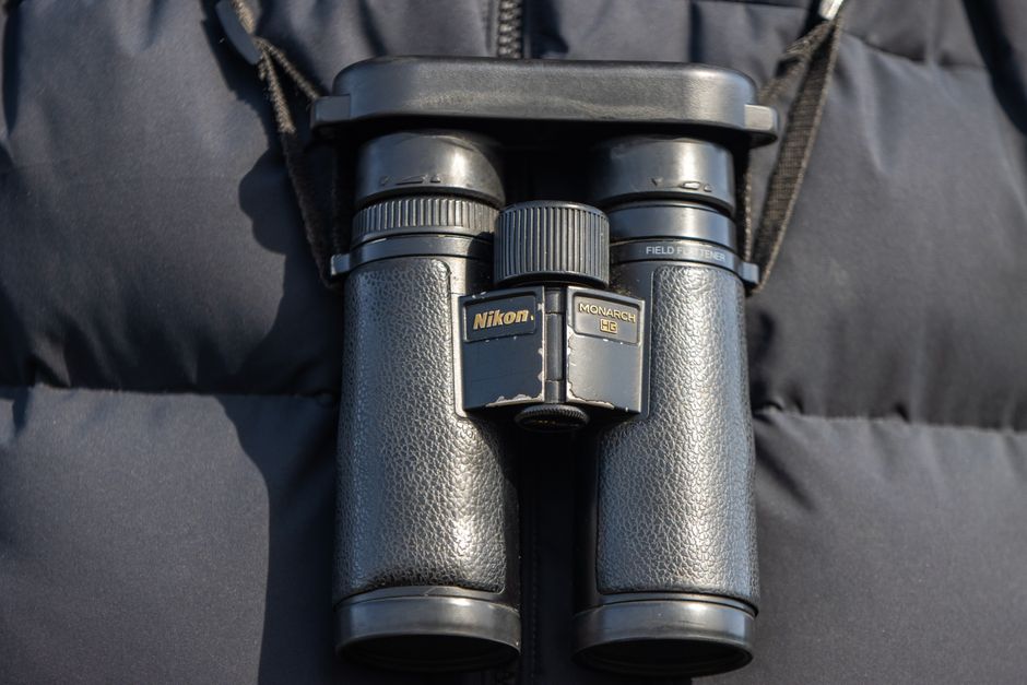 Close-up shot of black Nikon binoculars hanging on a dark jacket, perfect for nature enthusiasts.